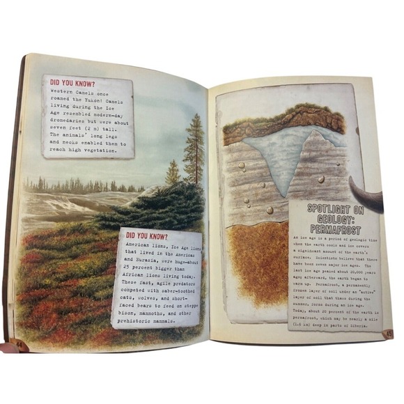 2006 Jurassic Park Dino Poop Soft Cover Scholastic Book‎ By Jane Hammerslough - Picture 3 of 3